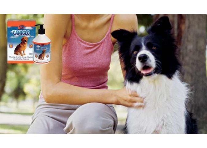 TRM Pet - Caniglo - For a Healthy Shiny coat malta, Feed Supplements and Animal Health Products malta, Equitrade Ltd malta