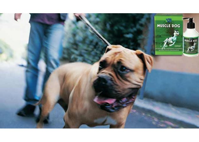 TRM Pet - Muscle Dog – For optimum muscle development malta, Feed Supplements and Animal Health Products malta, Equitrade Ltd malta